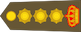 Insignia de Colonel