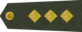 Pulkvedis insignia