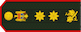 General de divizie insignia