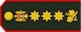 General de corp de armată insignia
