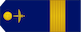 Sergent-major insignia