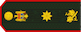 General de brigadă insignia