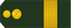Sergent-major insignia