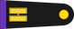 Mexico Air Force Teniente insignia