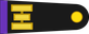 Mexico Air Force Capitán segundo insignia