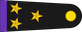 Mexico Air Force Coronel insignia