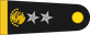 Mexico Air Force General de ala insignia