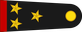 Mexico Army Coronel insignia