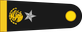 Mexico Army General brigadier insignia