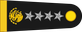 Mexico Army Secretario de la defensa nacional insignia