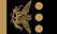 Mexico National Guard Comisario General insignia