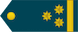 Insignia de Полковник Polkovnik