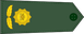 Myanmar Army ဗိုလ်မှူး Builʻmhūʺ insignia