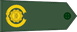 Myanmar Army ဗိုလ်မှူးချုပ် Builʻmhūʺkhyupʻ insignia