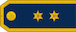 Insignia de Poručnik