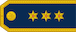 Insignia de Kapetan