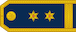 Insignia de Potpukovnik