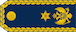 Insignia de Brigadir general
