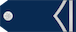 Insignia de Vodnik