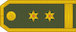 Insignia de Potpukovnik