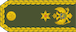 Insignia de Brigadir general