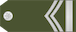 Insignia de Zastavnik 1 klase