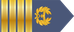 Nigeria Air Force Group captain insignia