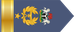 Nigeria Air Force Air commodore insignia