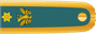 Nigeria Army Lieutenant colonel insignia
