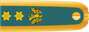 Nigeria Army Colonel insignia