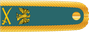 Nigeria Army Major general insignia