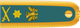 Nigeria Army Lieutenant general insignia