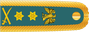 Nigeria Army General insignia