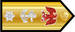 Nigeria Navy Commodore insignia