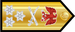 Nigeria Navy Vice admiral insignia