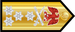 Nigeria Navy Admiral insignia
