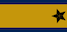 Insignia de Brigader