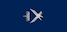 Insignia de Flysoldat