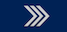 Insignia de Sersjant