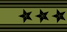 Insignia de Oberst