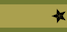 Insignia de Brigader