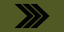 Insignia de Sersjant