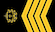Insignia de Sjefsmester