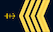 Insignia de Flaggmester