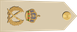Oman Air Force مشیر Mushir insignia