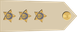 Oman Air Force نقيب Naqib insignia