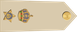Oman Air Force مقدم Muqaddam insignia