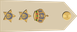 Oman Air Force عقيد Aqid insignia