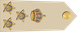 Oman Air Force عميد Amid insignia