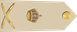 Oman Air Force لواء Liwa insignia